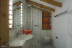 y baño con ducha, lavabo y aseo. en Haus Maryland, en Zermatt