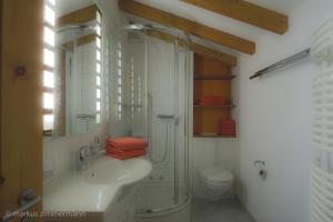ツェルマットにあるハウス メリーランドのシャワー、洗面台、トイレ付きのバスルーム