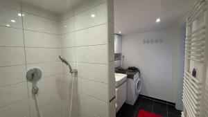 Appartment Basel tesisinde bir banyo