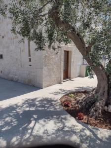 un árbol frente a un edificio con una puerta en La casa di pietra, en Monopoli