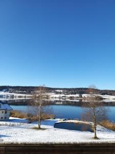 Deux arbres dans la neige à côté d'un lac dans l'établissement CHALET-MICHEL avec SPA, à Montperreux