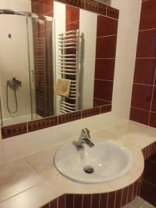 La salle de bains est pourvue d'un lavabo et d'un miroir. dans l'établissement Gościniec Zodiac, à Rzuchów