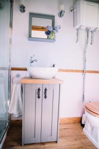 a bathroom with a sink and a toilet at Snowdrop Lodge, Walcot Hall Estate in Alkborough