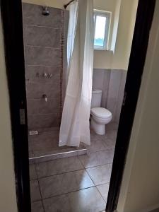 a bathroom with a shower and a toilet at Amohela Serviced Apartments - Kisumu in Mamboleo
