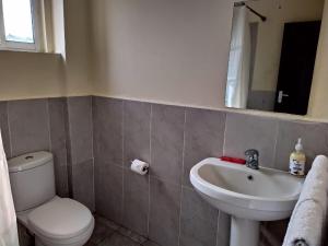 a bathroom with a toilet and a sink and a mirror at Amohela Serviced Apartments - Kisumu in Mamboleo