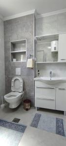 Bathroom sa One Bedroom Apartment Gogo with Private Parking