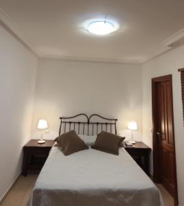 a bedroom with a large bed with two lamps on tables at Pisos El Puerto in Santa Cruz de la Palma
