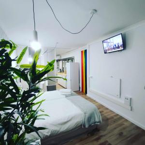 une chambre avec un lit et une télévision sur un mur dans l'établissement aridane loft, à Los Llanos de Aridane