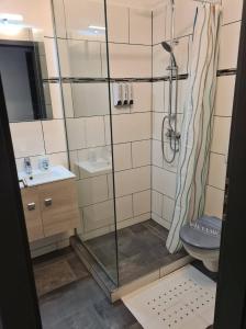 a bathroom with a shower and a sink and a toilet at Orchidea2 in Finkenstein