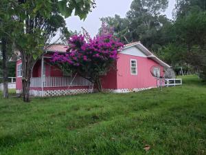 a red house with a tree with purple flowers at Casa de campo 2 bela Wifi in Urubici