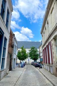 a cobblestone street in a city with buildings at Vieux-Lille : Appartement de charme in Lille