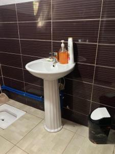 La salle de bains est pourvue d'un lavabo blanc et de murs carrelés noirs. dans l'établissement Guesthouse Dioni, à Valbonë