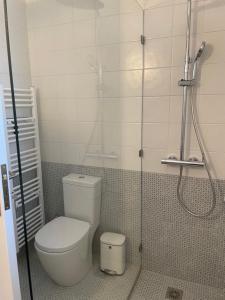 La salle de bains est pourvue d'une douche et de toilettes. dans l'établissement Sea view studio 2, à Batsi