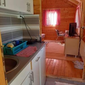 eine Küche in einem Blockhaus mit einem Waschbecken in der Unterkunft Vikendica Mijajlović 2 in Kuršumlija