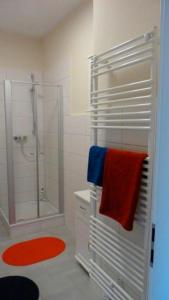 a bathroom with a shower and a towel rack at Rieger FW 2 in Eckernförde