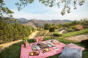 einem Picknicktisch mit Essen auf einer roten und weißen karierten Decke in der Unterkunft Botanique Hotel Experience - Campos do Jordão in Campos do Jordão