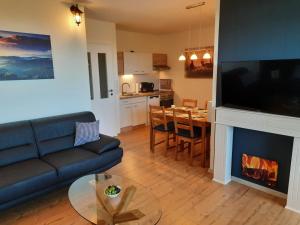 een woonkamer met een bank en een open haard bij Apartment 560 in Hohegeiß