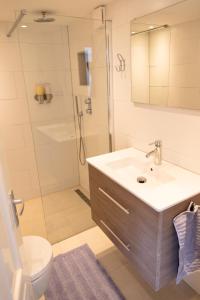 uma casa de banho com um lavatório, um chuveiro e um WC. em Studio Excellent 21 em Soesterberg
