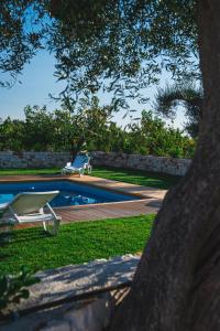 a swimming pool with a chair next to a tree at Olea Relais in Conversano
