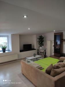 a living room with a couch and a green rug at Leipzig-Neuseeland-Ferienwohnung in Rötha