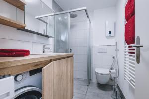 een badkamer met wasmachine en toilet bij Appartement Farina in Kaprun +20 foto's