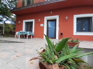 a house with a plant in front of it at B&B Kikina in Austis