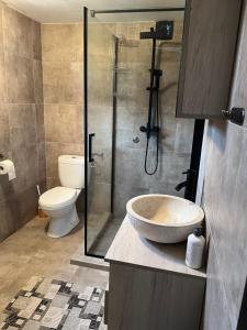 a bathroom with a sink and a shower with a toilet at Soko House in Sokolac