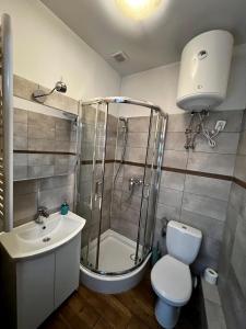 a bathroom with a shower and a toilet and a sink at eM Apartment 17 in Katowice