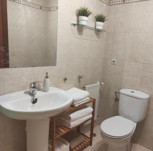 uma casa de banho com um lavatório, um WC e um espelho. em Apartamento familiar em Madrid