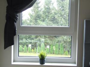 Ogród w obiekcie White Room Wrocław przy Wyspie Opatowickiej