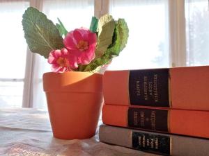 a stack of books next to a vase with a flower at Malomtavi Vendégház Tapolca in Tapolca