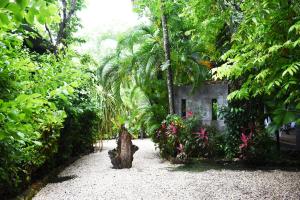 a garden with a tree stump in the middle of a yard at Pachamama Bungalows & Surfcamp - Santa Teresa in Carmen