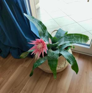 Fotografia z galérie ubytovania Apartament MAZI w centrum PRIMORE v destinácii Gdansk