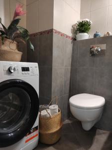 a bathroom with a washing machine and a toilet at Apartament MAZI w centrum PRIMORE in Gdańsk