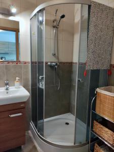 a shower with a glass door in a bathroom at Apartament MAZI w centrum PRIMORE in Gdańsk