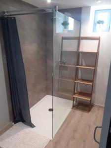 a shower with a glass door and a ladder at LE ROCAGERMANOIS - Jolie maison de village in Saint-Germain-le-Rocheux