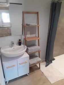 a bathroom with a sink and a shelf with towels at LE ROCAGERMANOIS - Jolie maison de village in Saint-Germain-le-Rocheux