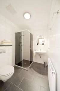 a bathroom with a shower and a toilet and a sink at Pension am Schlossberg in Reichenberg