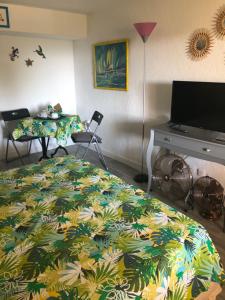 um quarto com uma cama, uma mesa e uma televisão em La Nectarine em Nice