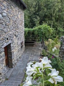 un jardín con flores blancas frente a un edificio de piedra en Rustico Tello en Linescio