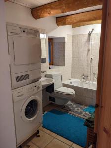 a bathroom with a washing machine and a toilet at Rustico Tello in Linescio