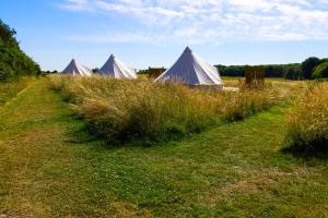 Fotografie z fotogalerie ubytování Walltree House Glamping v destinaci Brackley + 4 fotografie