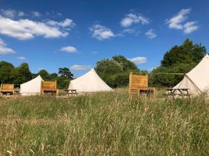 a group of tents in a field with tall grass at Walltree House Glamping in Brackley