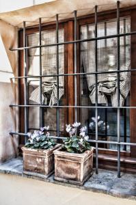 Fotografie z fotogalerie ubytování Appartamenti San Francesco v destinaci Spello