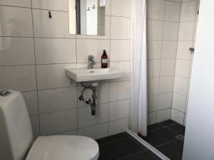 a bathroom with a toilet and a sink at 550 Guesthouse in Sauðárkrókur