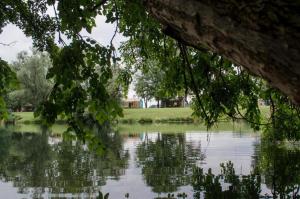 una vista de un cuerpo de agua con árboles en BIG BERRY – MOBILNA HIŠKA RIS en Gradac