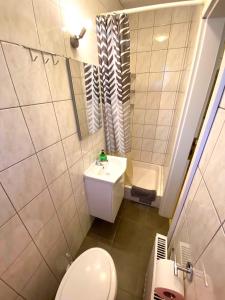 a small bathroom with a toilet and a sink at Apartman Lucija in Gradići
