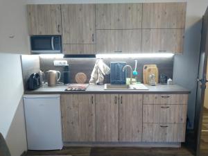 Kuhinja oz. manjša kuhinja v nastanitvi Apartmány Nežárka a privátní wellness