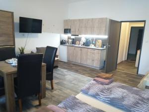 Kuhinja oz. manjša kuhinja v nastanitvi Apartmány Nežárka a privátní wellness
