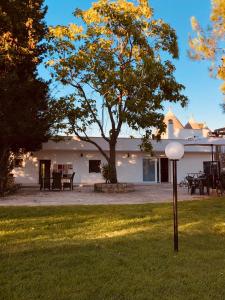 a white house with a tree in the yard at Villa Valentina in Locorotondo